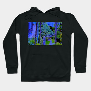 Kaleidoscope Therapy Temple Garden Tokyo Hoodie